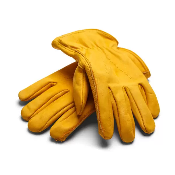 Safety Gloves